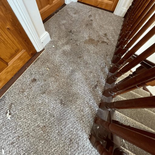 Spot and stain removal