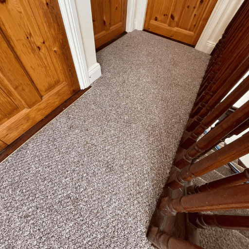 spot and stain removal after