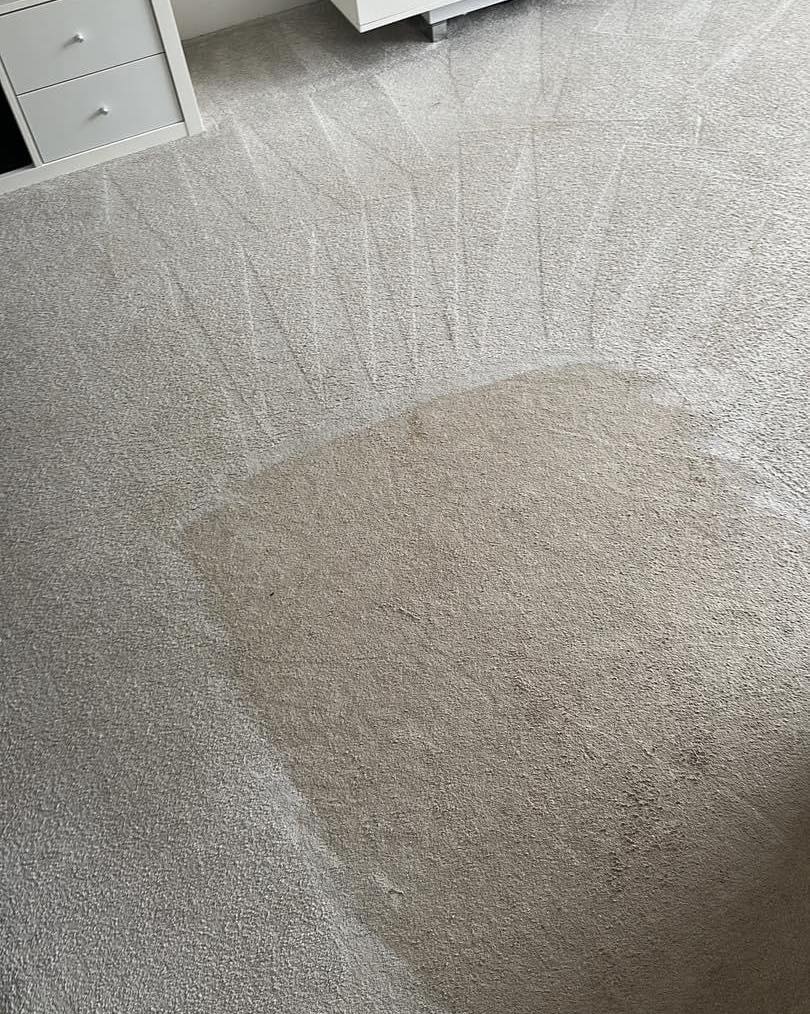 Office Carpet Cleaning